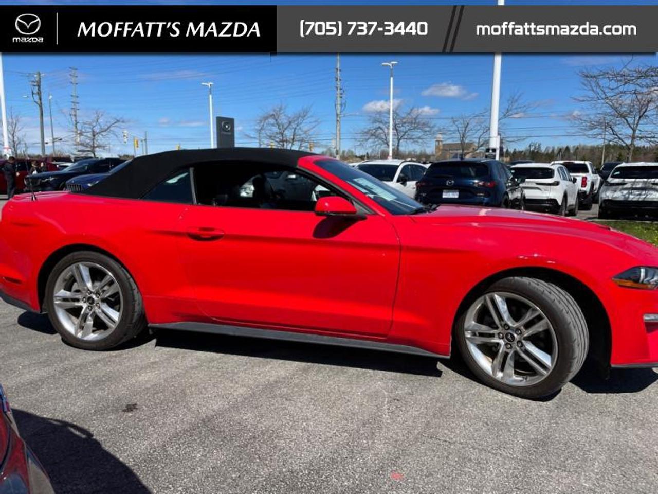 2021 Ford Mustang EcoBoost Premium Photo