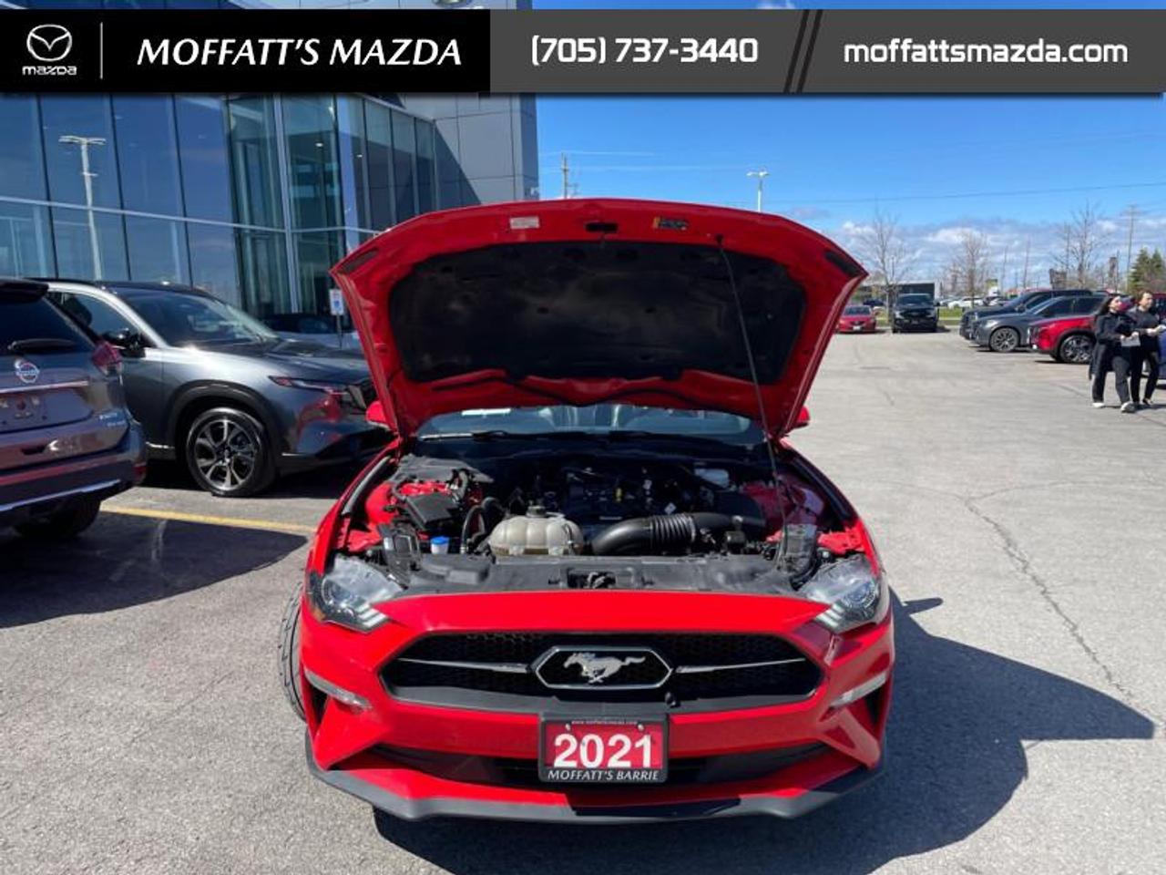 2021 Ford Mustang EcoBoost Premium Photo