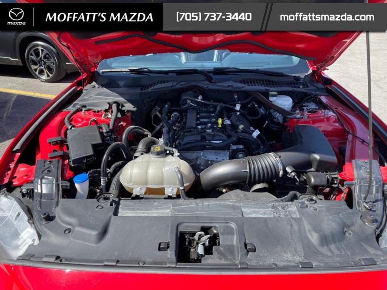 2021 Ford Mustang EcoBoost Premium Photo