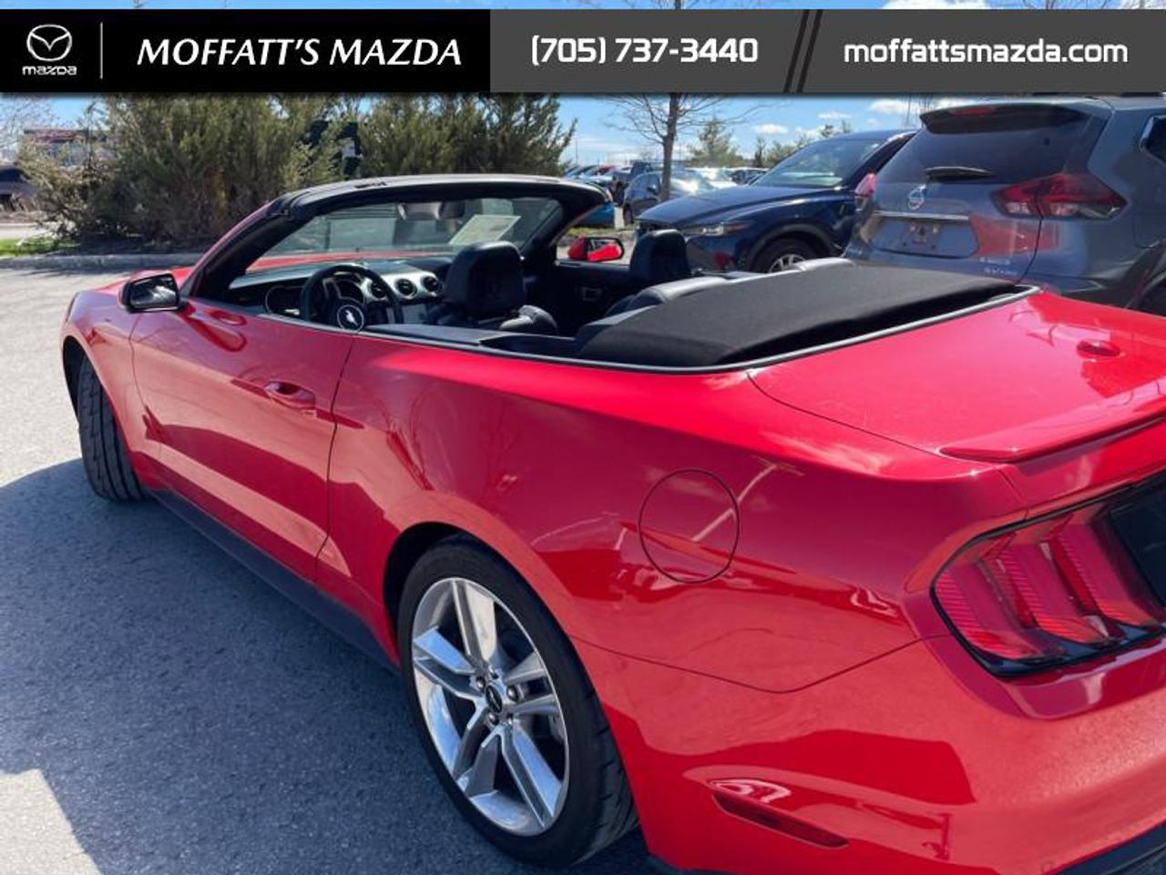 2021 Ford Mustang EcoBoost Premium Photo