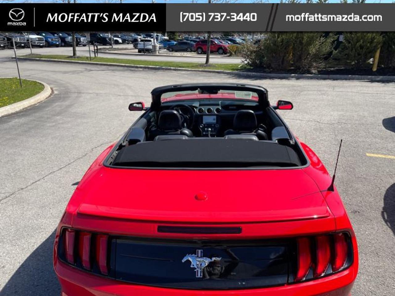 2021 Ford Mustang EcoBoost Premium Photo