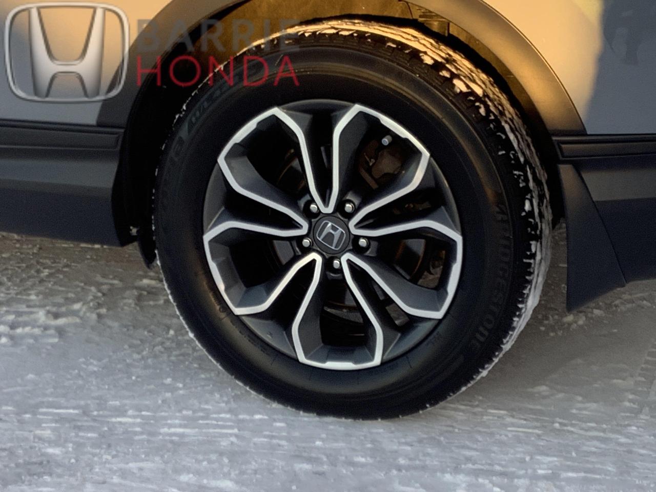 2022 Honda CR-V EX-L 4dr All-wheel Drive Photo