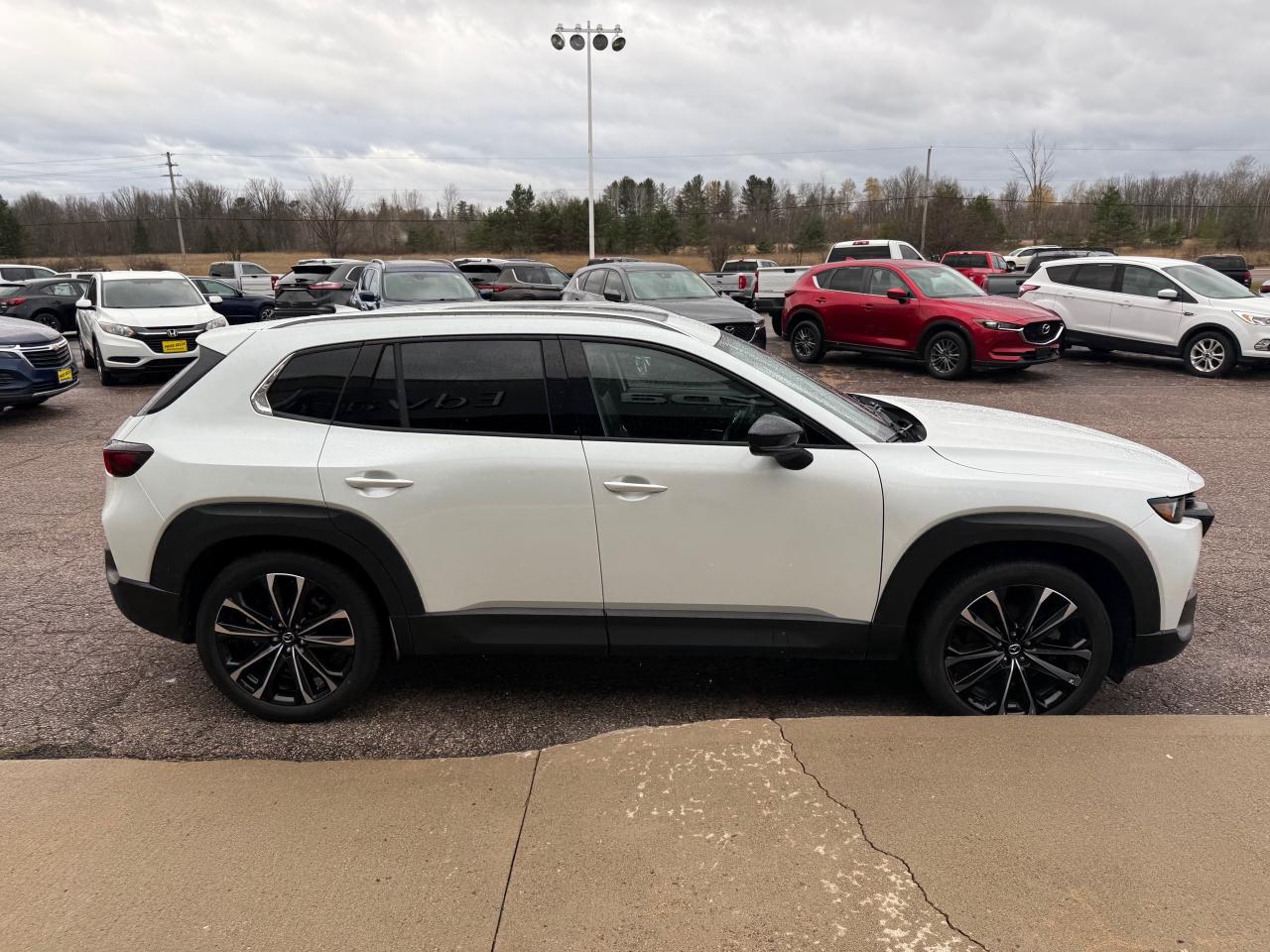 2024 Mazda CX-50 GT w/Turbo 4dr All-Wheel Drive Sport Utility Photo