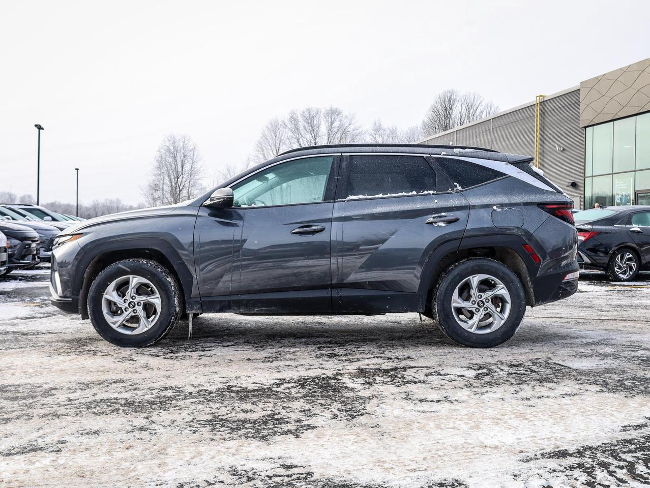 2023 Hyundai Tucson  Photo