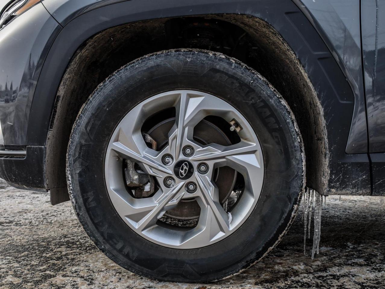 2023 Hyundai Tucson  Photo