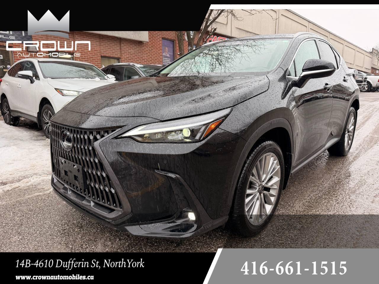 2024 Lexus NX NX 350 AWD, LUXURY PKG, NO ACCIDENT Photo