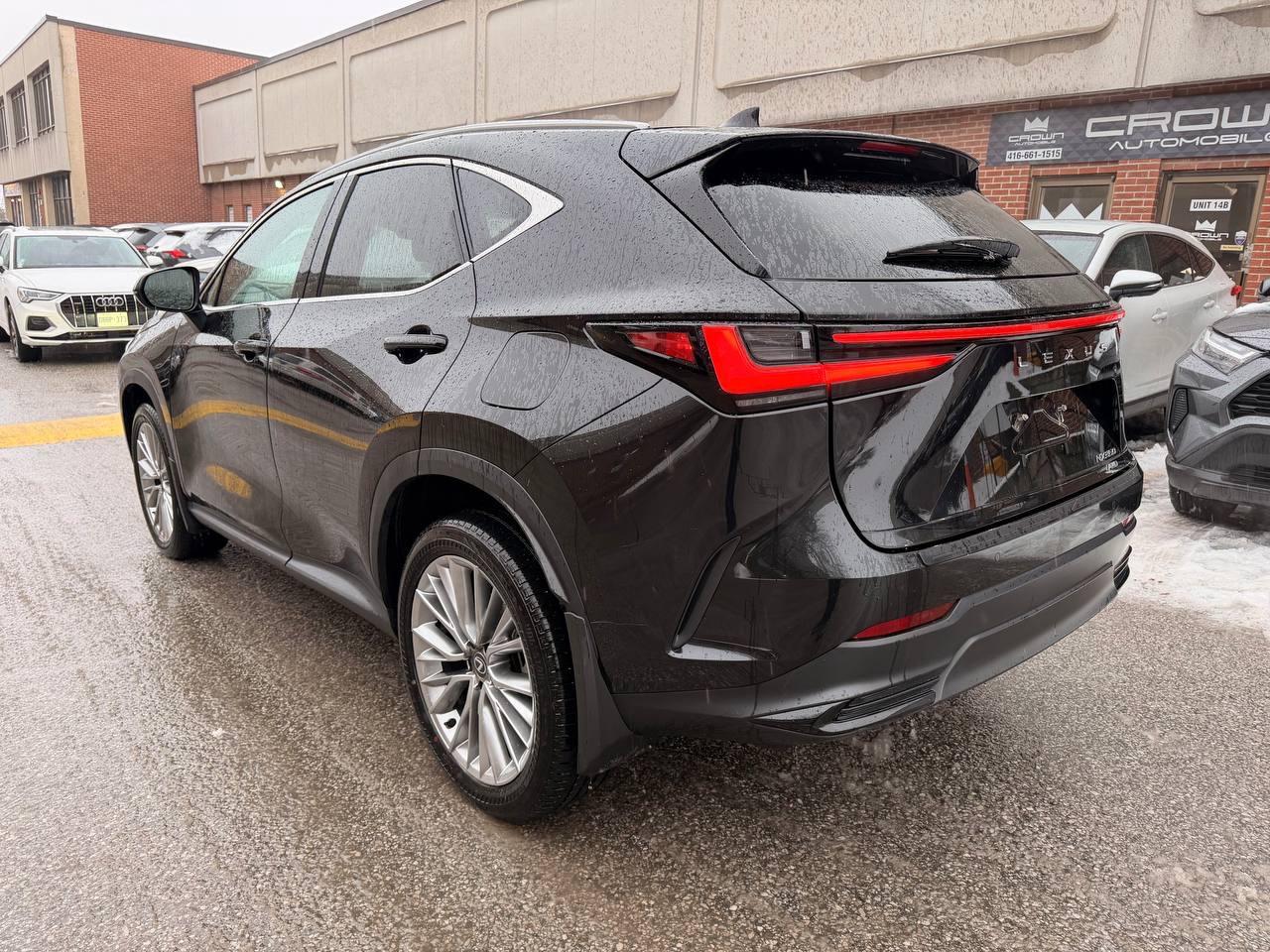 2024 Lexus NX NX 350 AWD, LUXURY PKG, NO ACCIDENT Photo