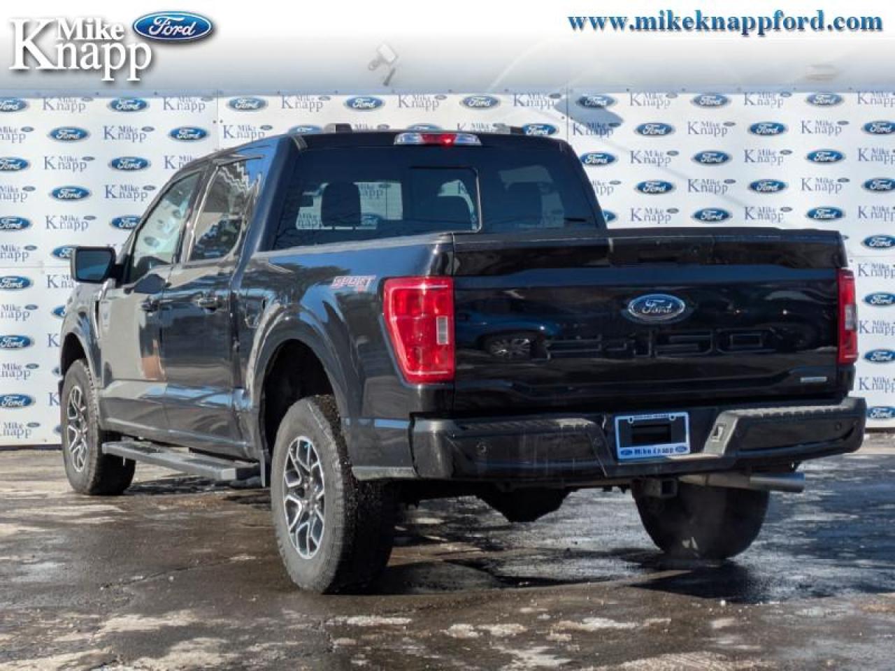 2022 Ford F-150 XLT Photo