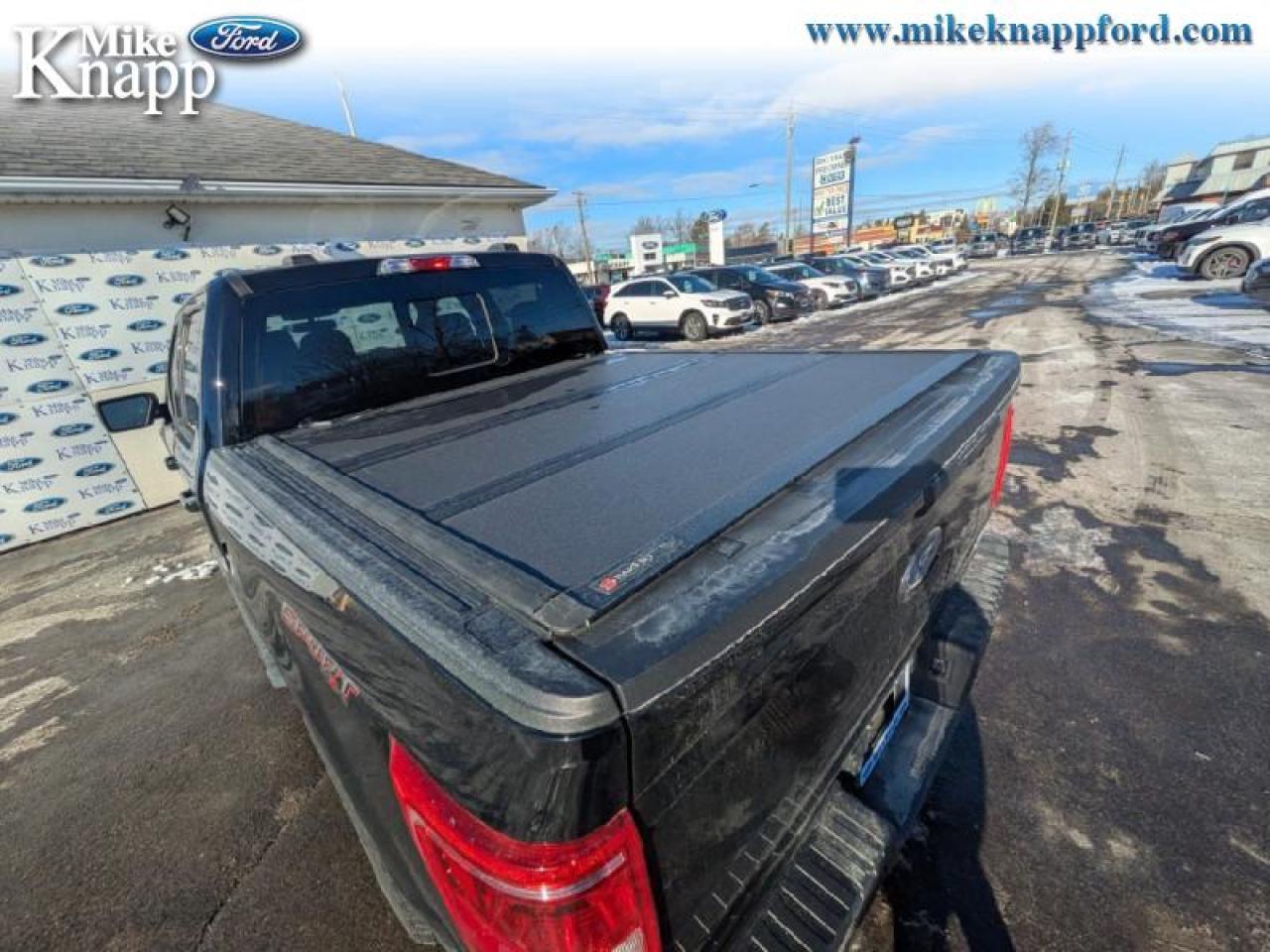 2022 Ford F-150 XLT Photo