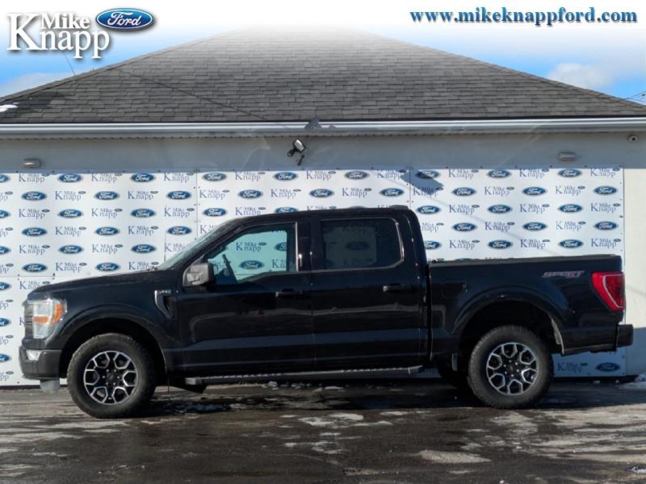 2022 Ford F-150 XLT Photo