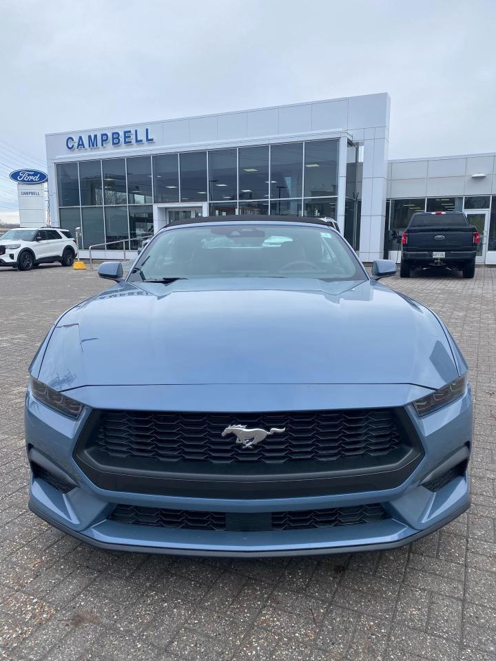 2026 Ford Mustang  Photo