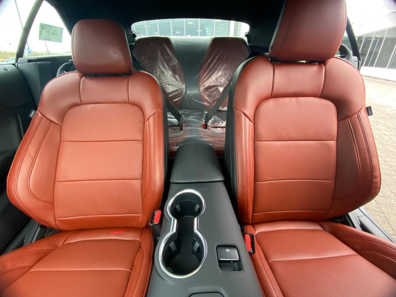 2026 Ford Mustang  Photo