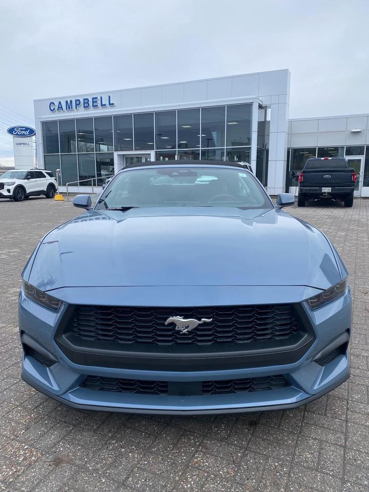 2026 Ford Mustang EcoBoost 2dr Convertible Photo3