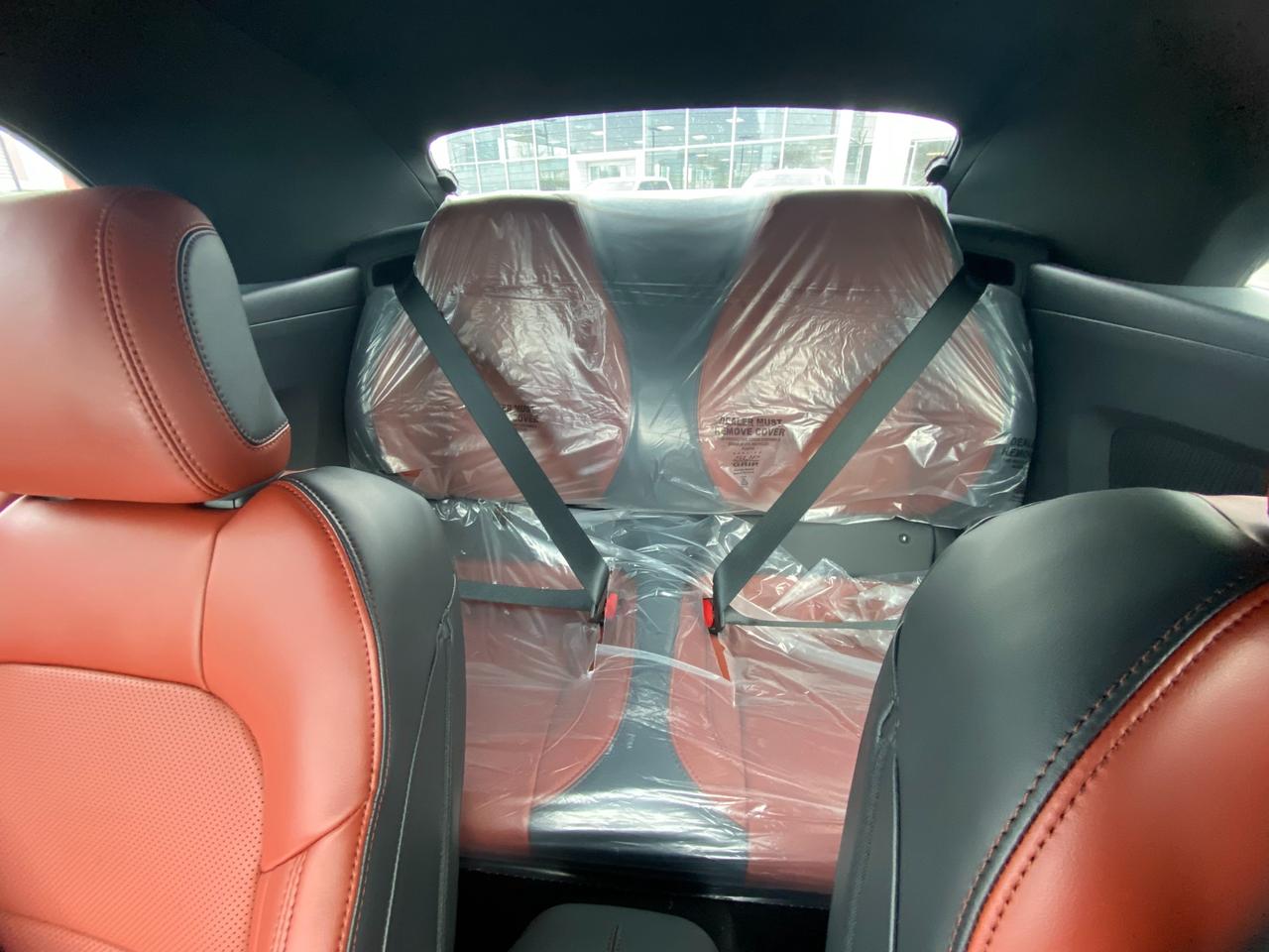 2026 Ford Mustang EcoBoost 2dr Convertible Photo