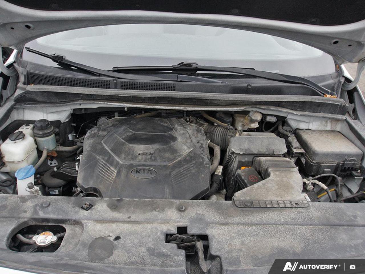 2020 Kia Sedona  Photo