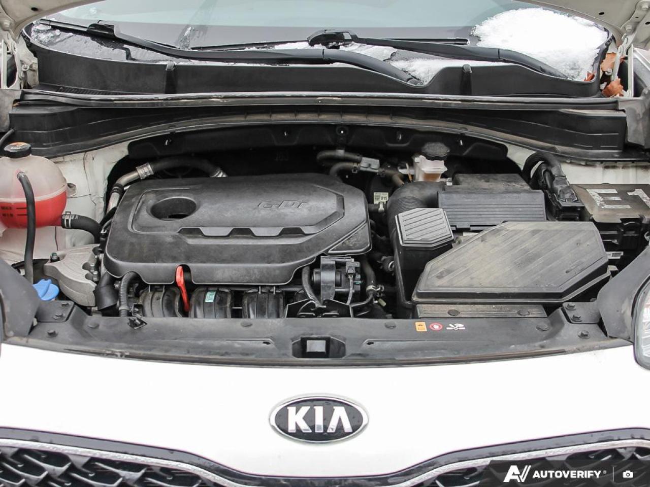 2021 Kia Sportage LX 4dr Front-wheel Drive Photo