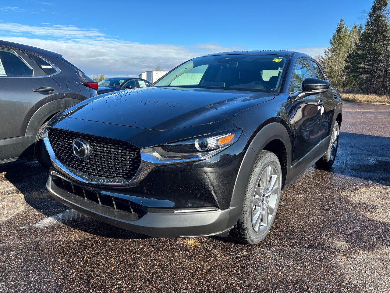 2025 Mazda CX-30 GS 4dr i-ACTIV All-Wheel Drive Sport Utility Photo