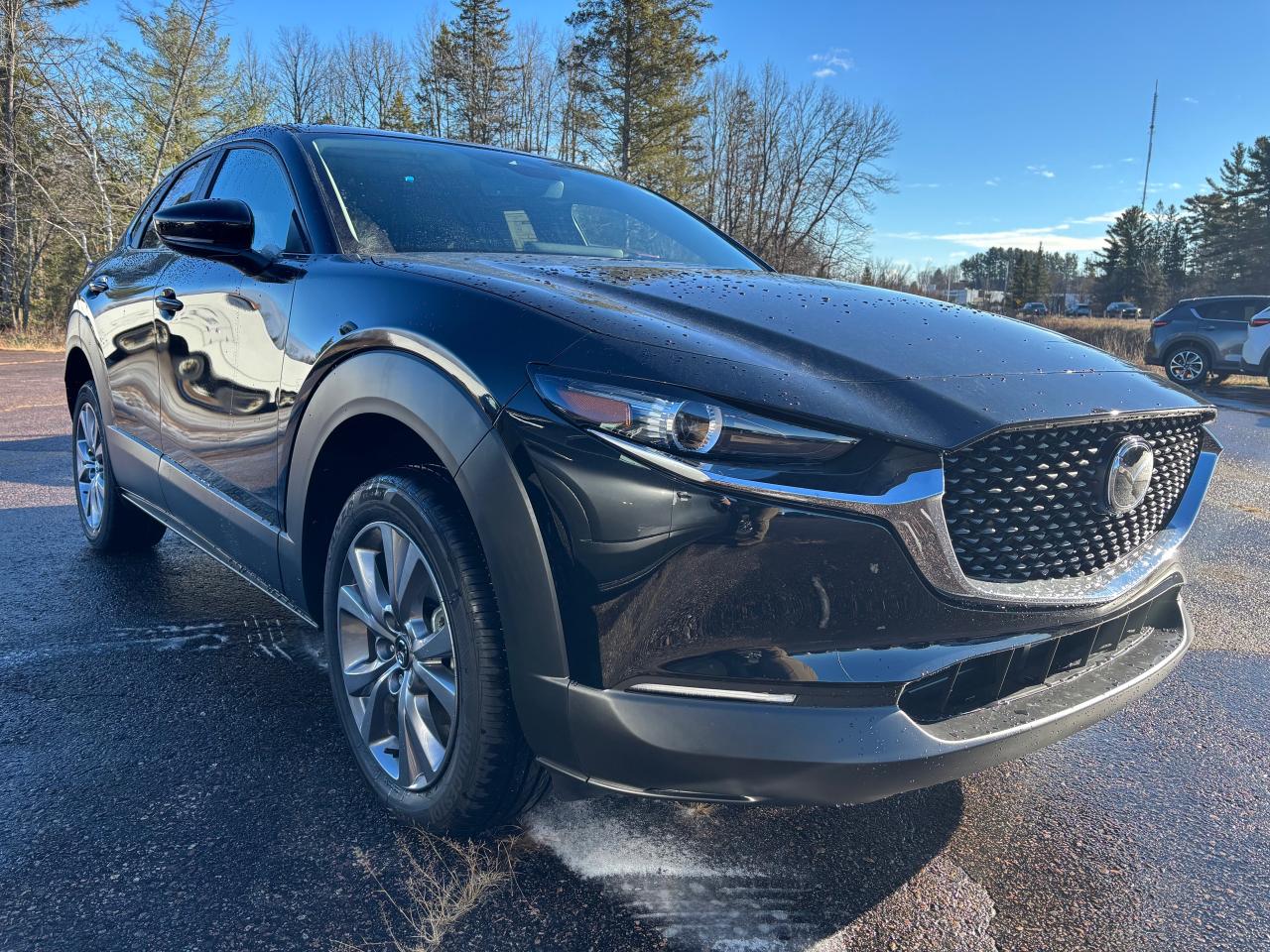 2025 Mazda CX-30 GS 4dr i-ACTIV All-Wheel Drive Sport Utility Photo