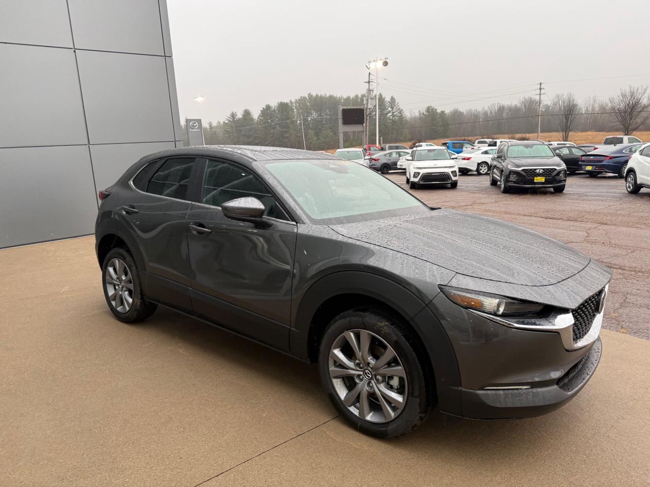 2025 Mazda CX-30 GS 4dr i-ACTIV All-Wheel Drive Sport Utility Photo2