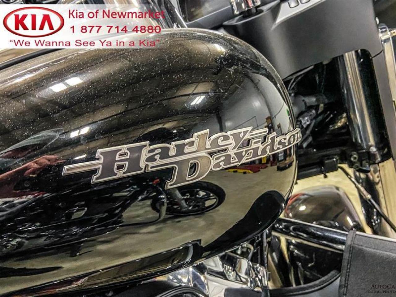 2019 Harley-Davidson Unlisted Item  Photo