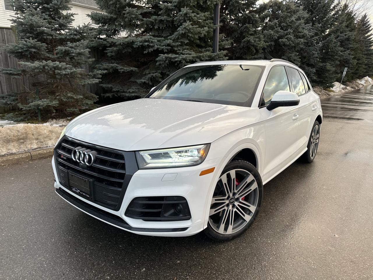 2019 Audi SQ5 TECHNIK HUD BAND & OLFUSEN SOUND NO ACCIDENTS Photo0