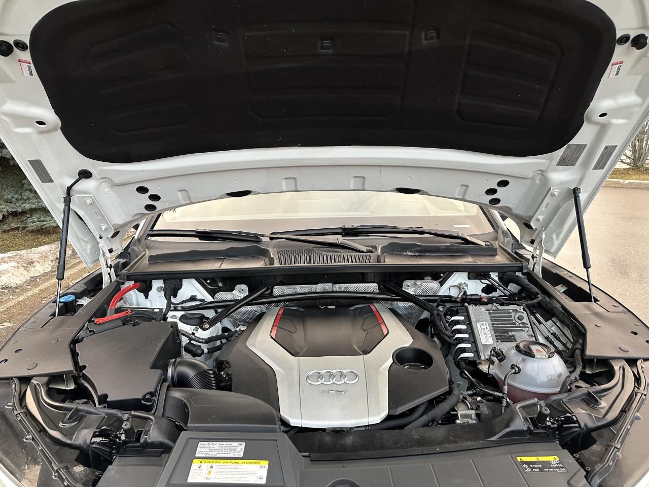 2019 Audi SQ5 TECHNIK HUD BAND & OLFUSEN SOUND NO ACCIDENTS Photo