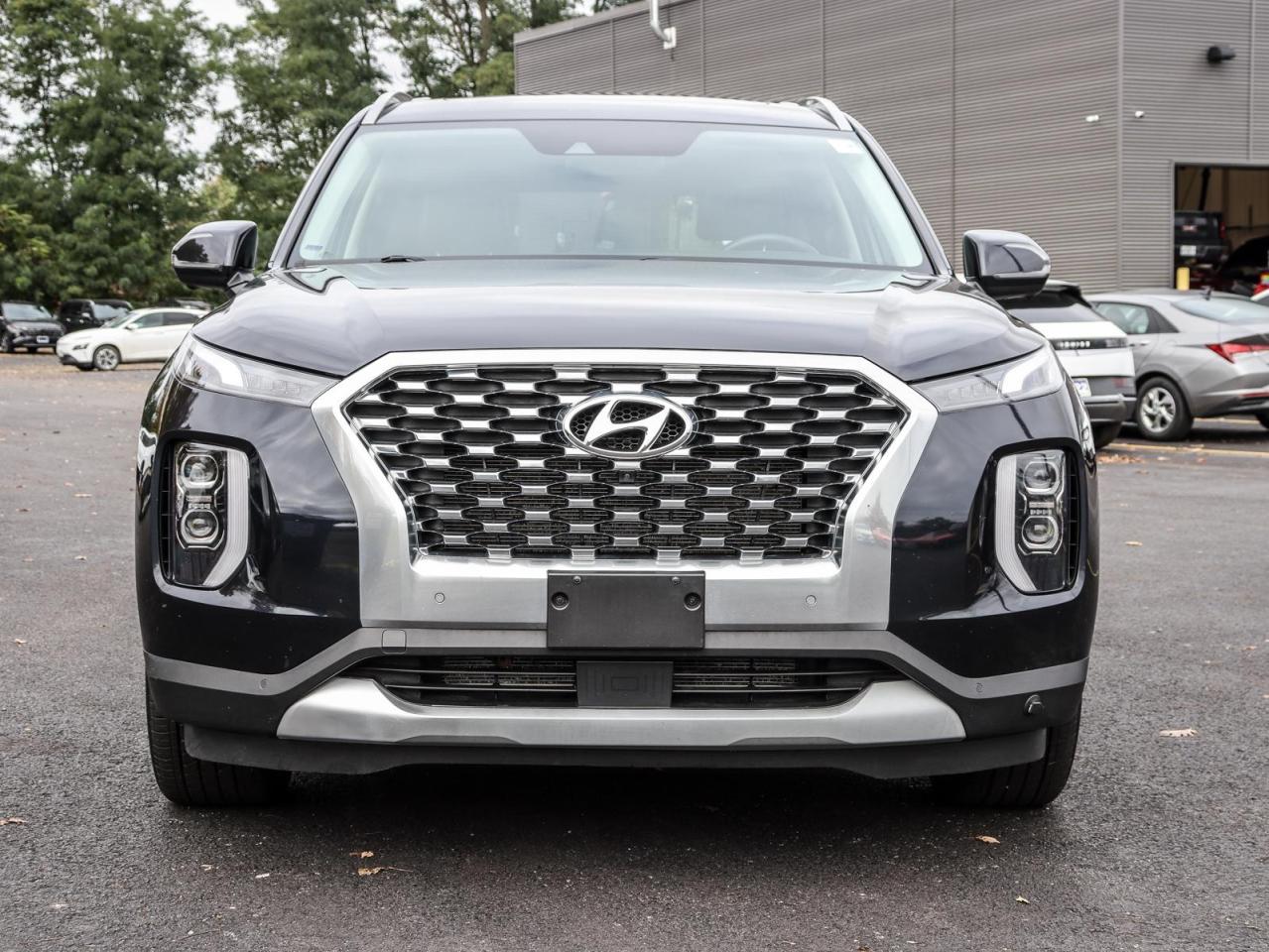 2020 Hyundai PALISADE Luxury 8 Passenger 4dr All-Wheel Drive Photo