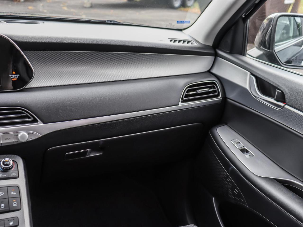 2020 Hyundai PALISADE  Photo