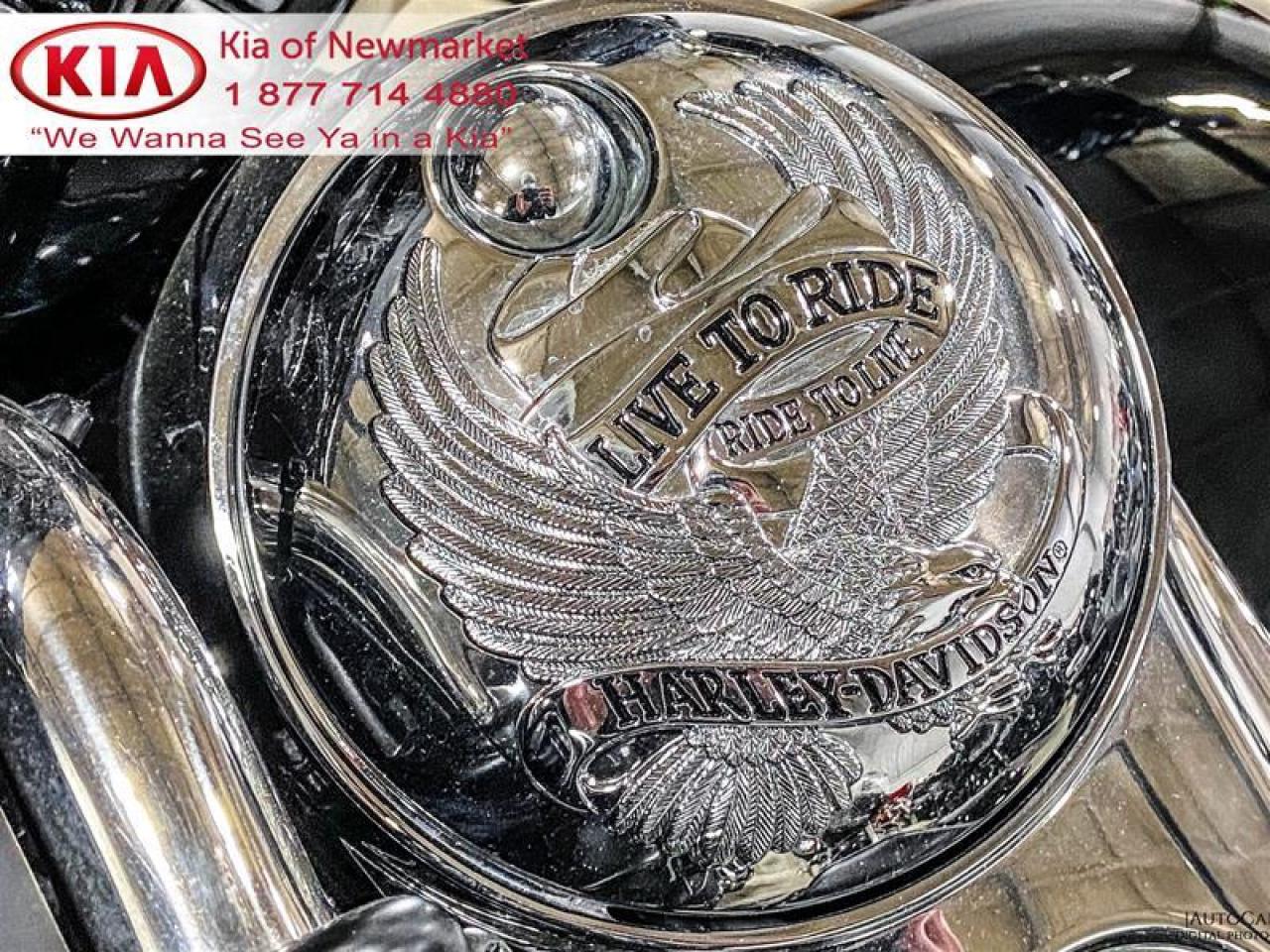 2015 Harley-Davidson Unlisted Item  Photo