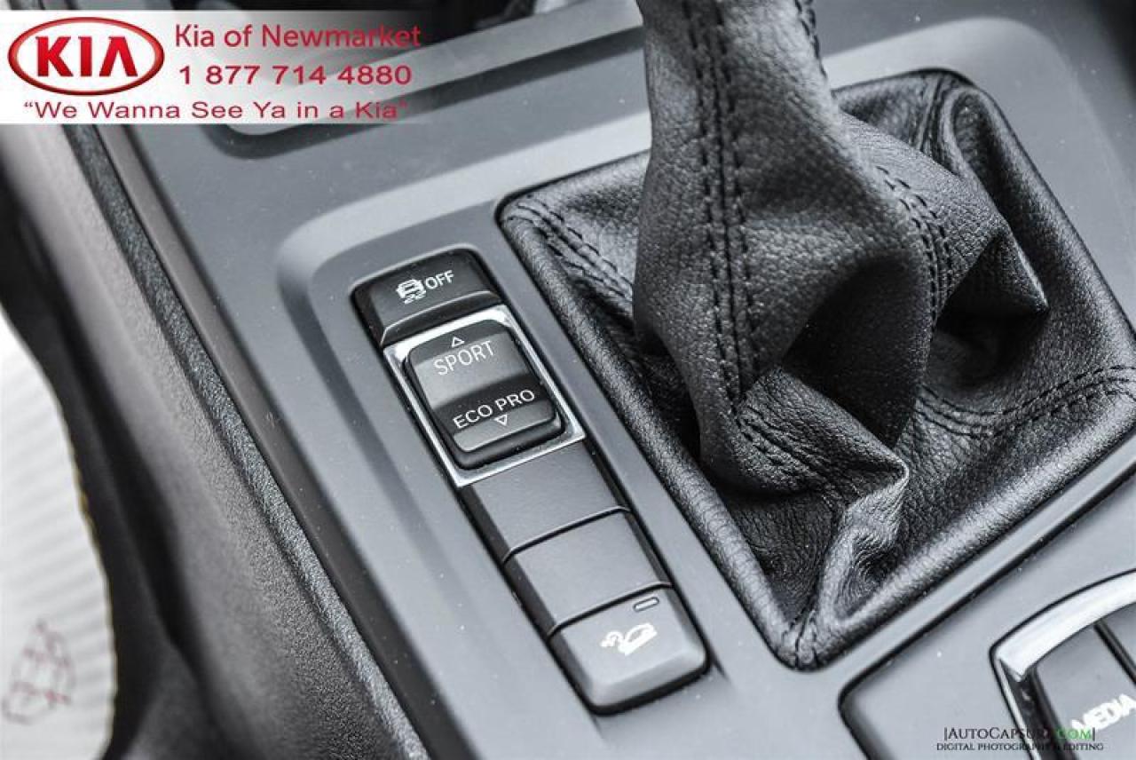 2018 BMW X1 xDrive28i 4dr All-wheel Drive Sports Activity Vehicle Photo