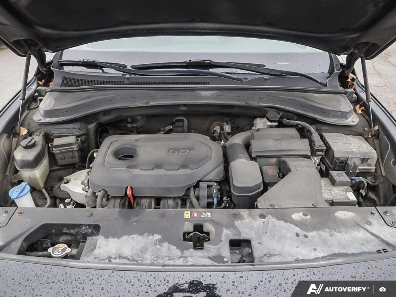 2019 Hyundai Santa Fe Preferred 2.4 (A8) 4dr All-Wheel Drive Photo