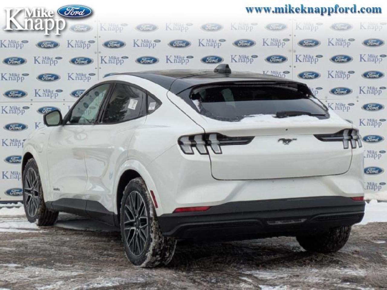 2025 Ford Mustang Mach-E Premium AWD Photo2