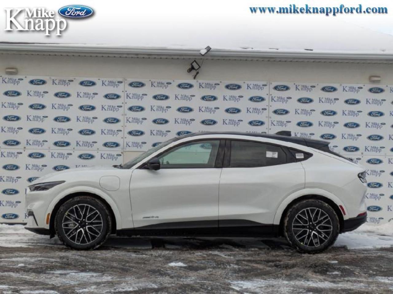 2025 Ford Mustang Mach-E Premium AWD Photo