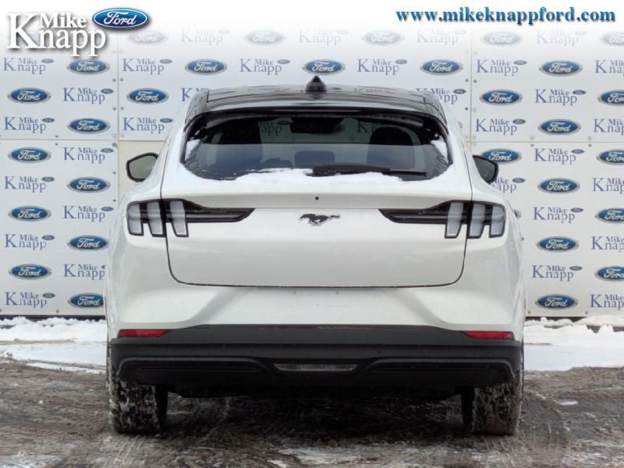 2025 Ford Mustang Mach-E Premium AWD Photo