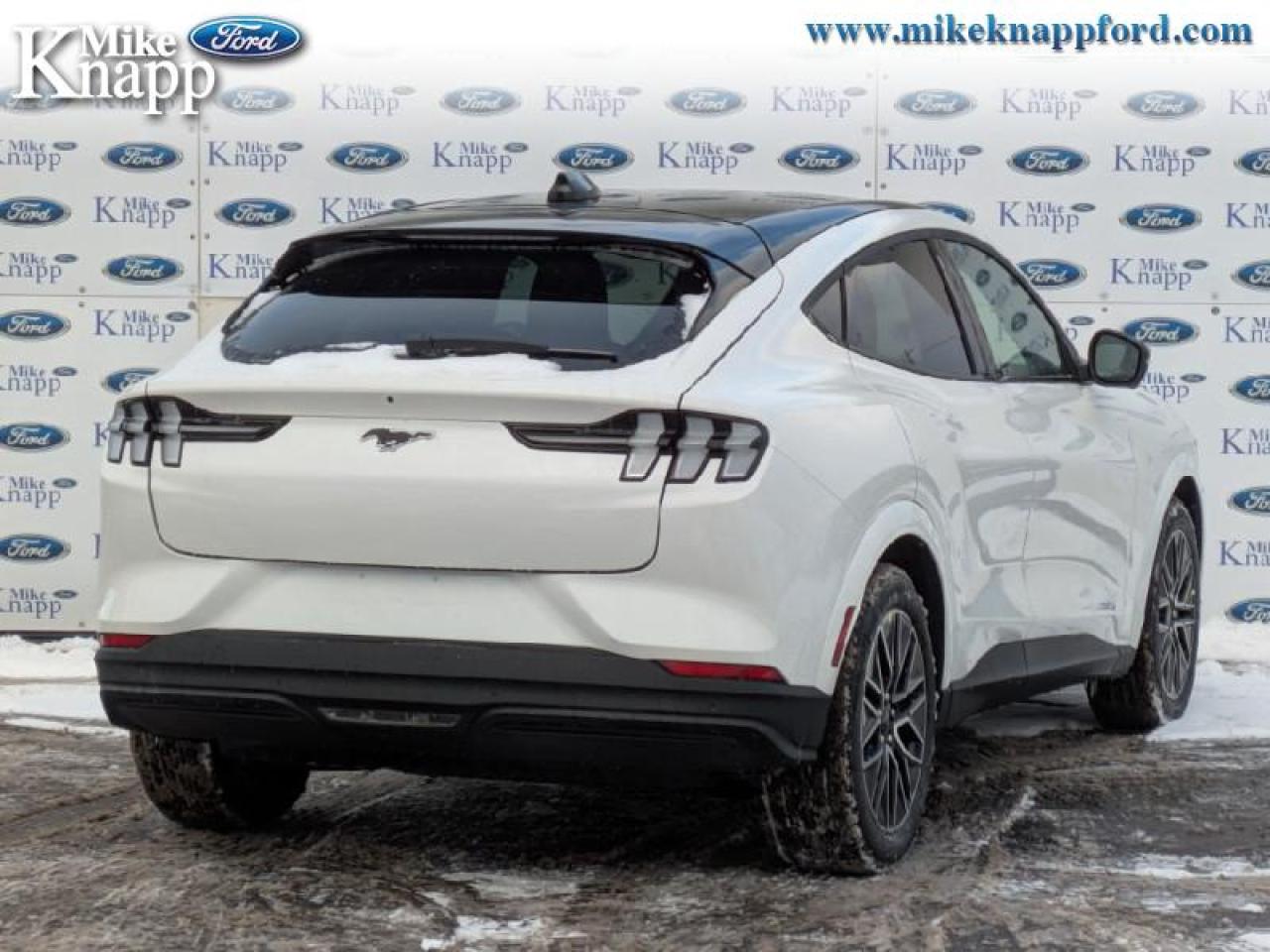 2025 Ford Mustang Mach-E Premium AWD Photo