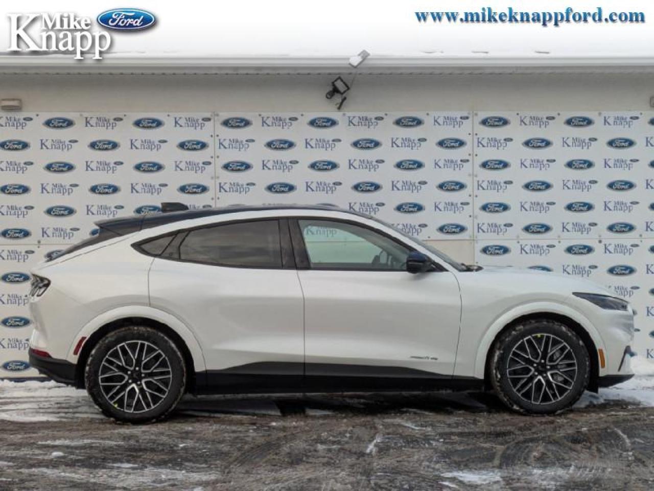 2025 Ford Mustang Mach-E Premium AWD Photo