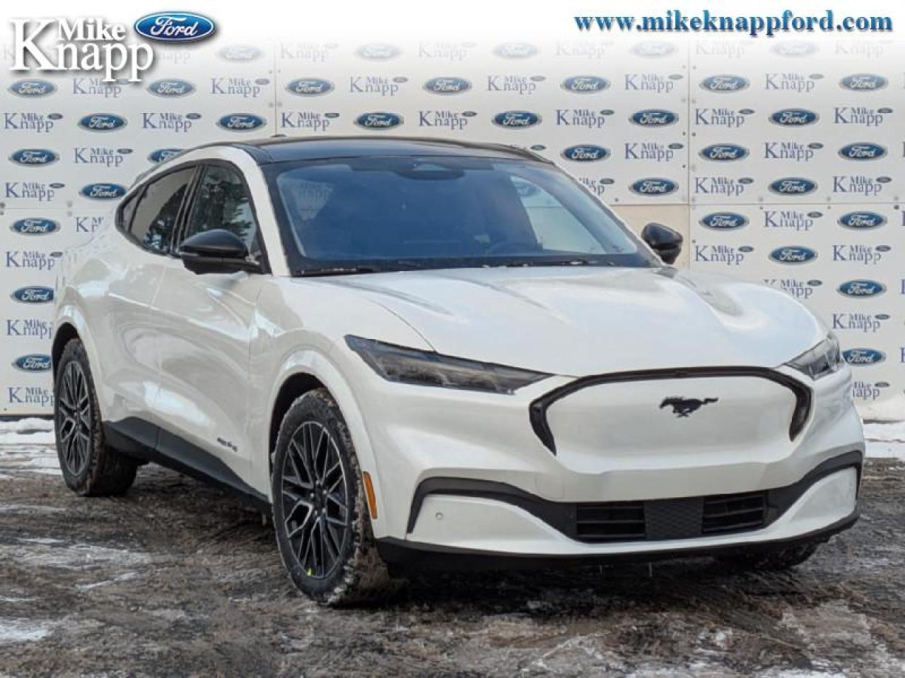 2025 Ford Mustang Mach-E Premium AWD Photo