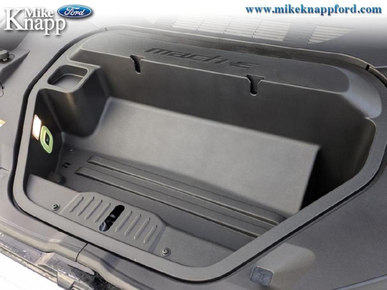 2025 Ford Mustang Mach-E Premium AWD Photo