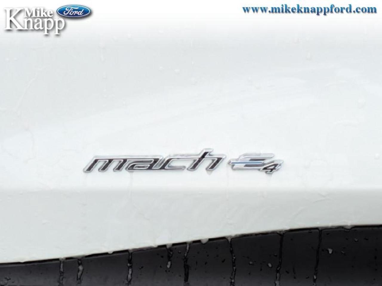 2025 Ford Mustang Mach-E Premium AWD Photo