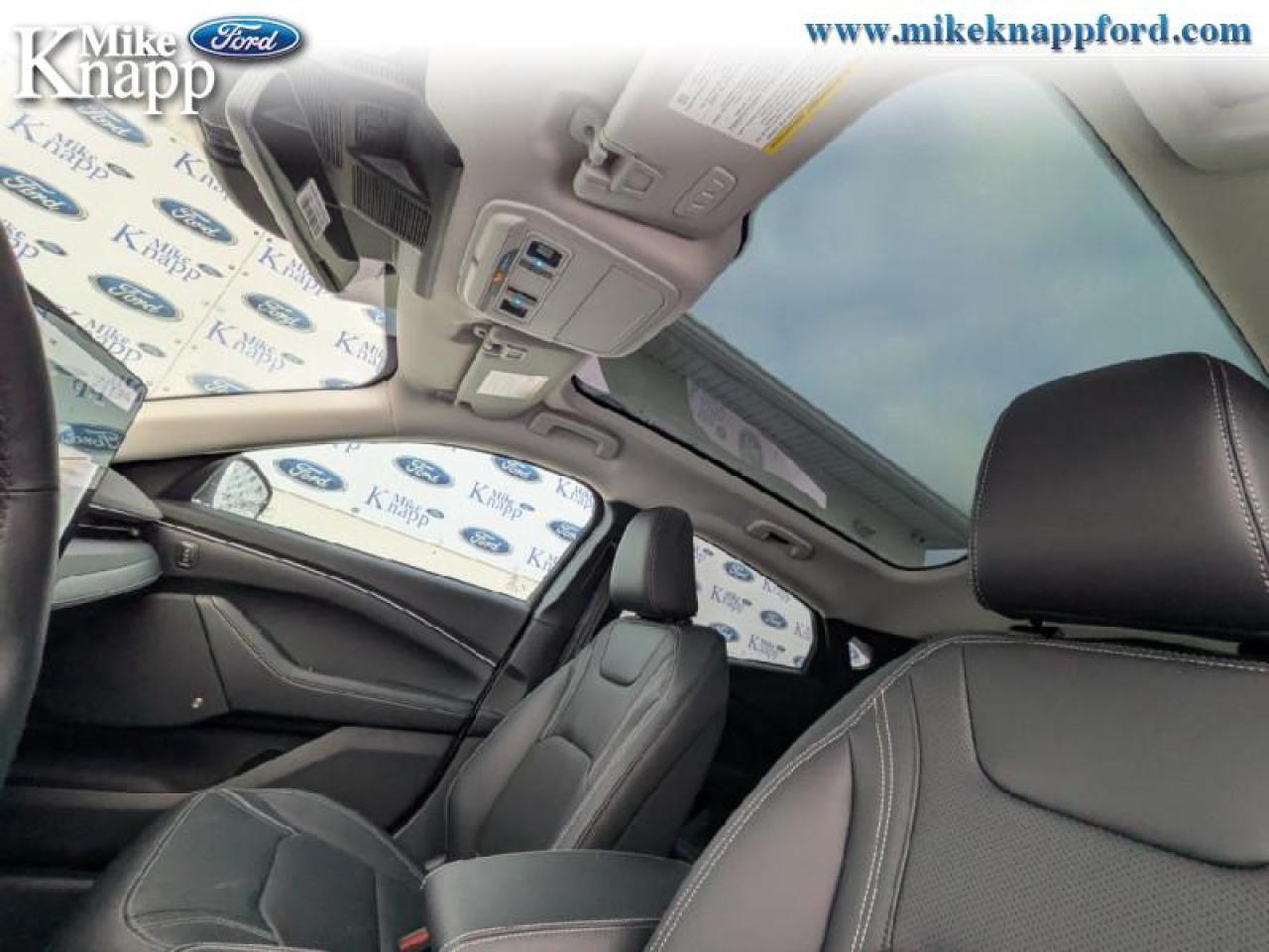 2025 Ford Mustang Mach-E Premium AWD Photo