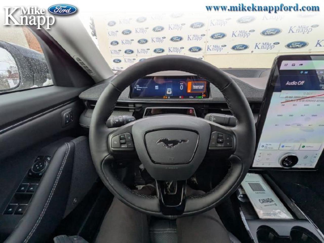 2025 Ford Mustang Mach-E Premium AWD Photo