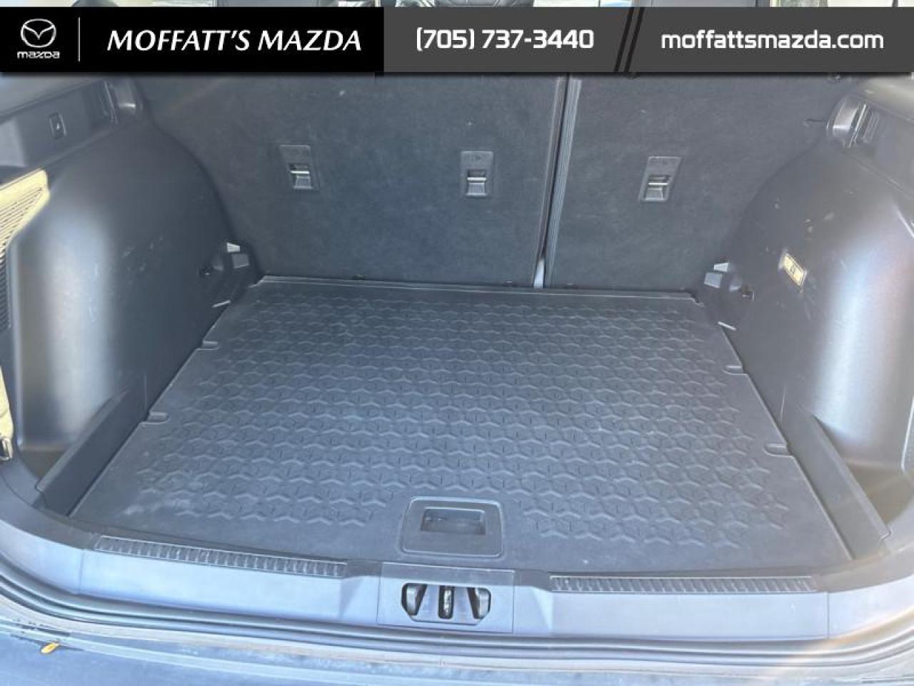 2023 Ford Bronco Sport Big Bend Photo