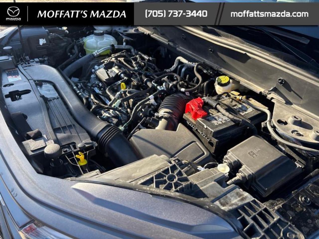 2023 Ford Bronco Sport Big Bend Photo