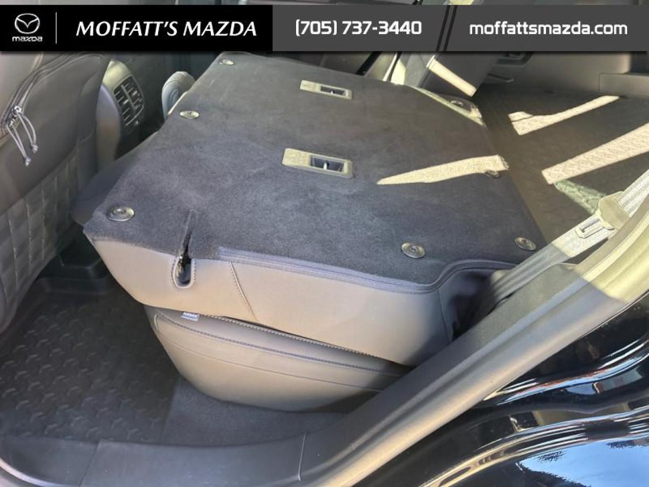 2023 Ford Bronco Sport Big Bend Photo