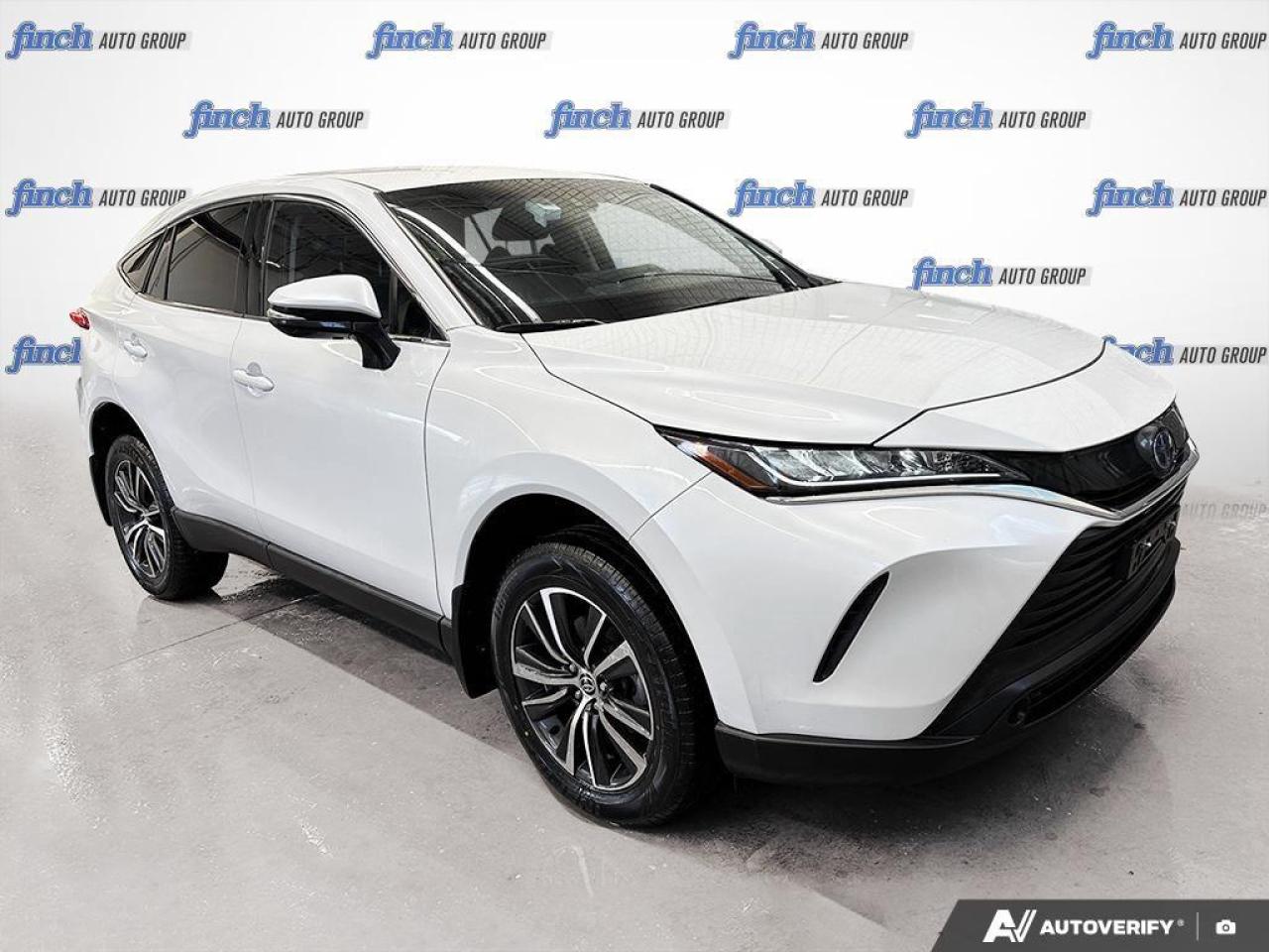 2024 Toyota Venza  Photo