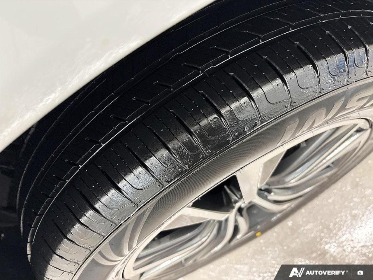 2024 Toyota Venza  Photo