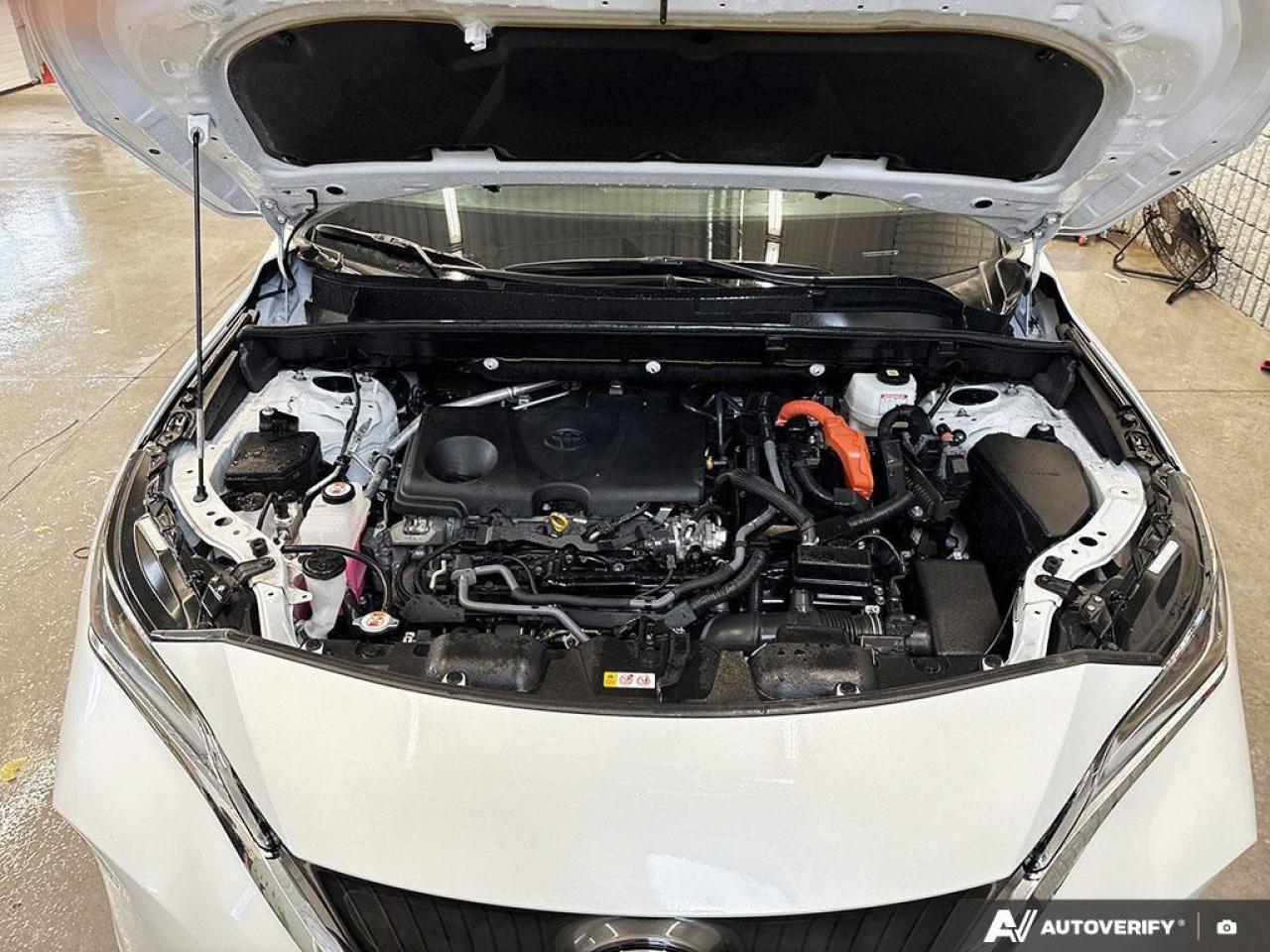 2024 Toyota Venza  Photo