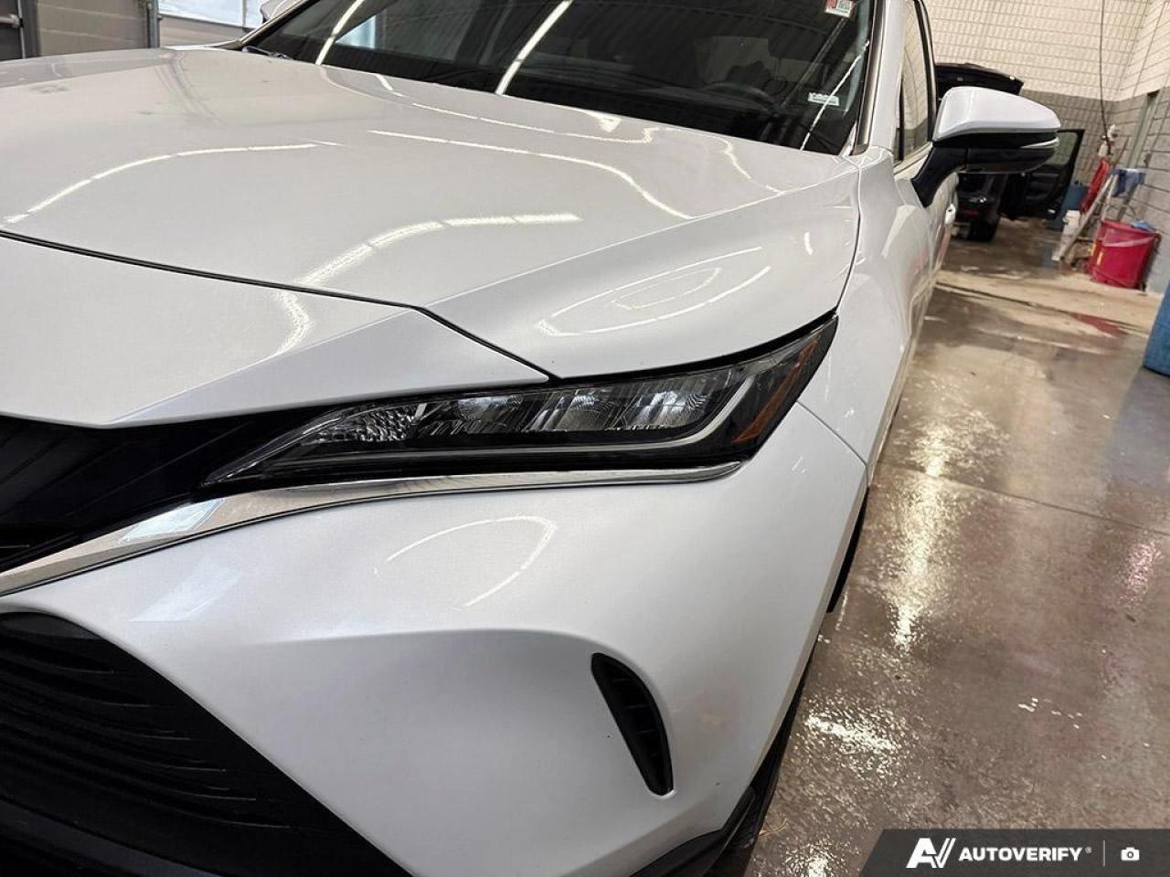 2024 Toyota Venza  Photo