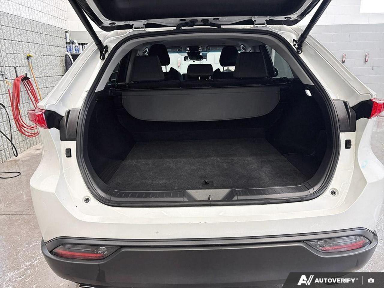 2024 Toyota Venza  Photo