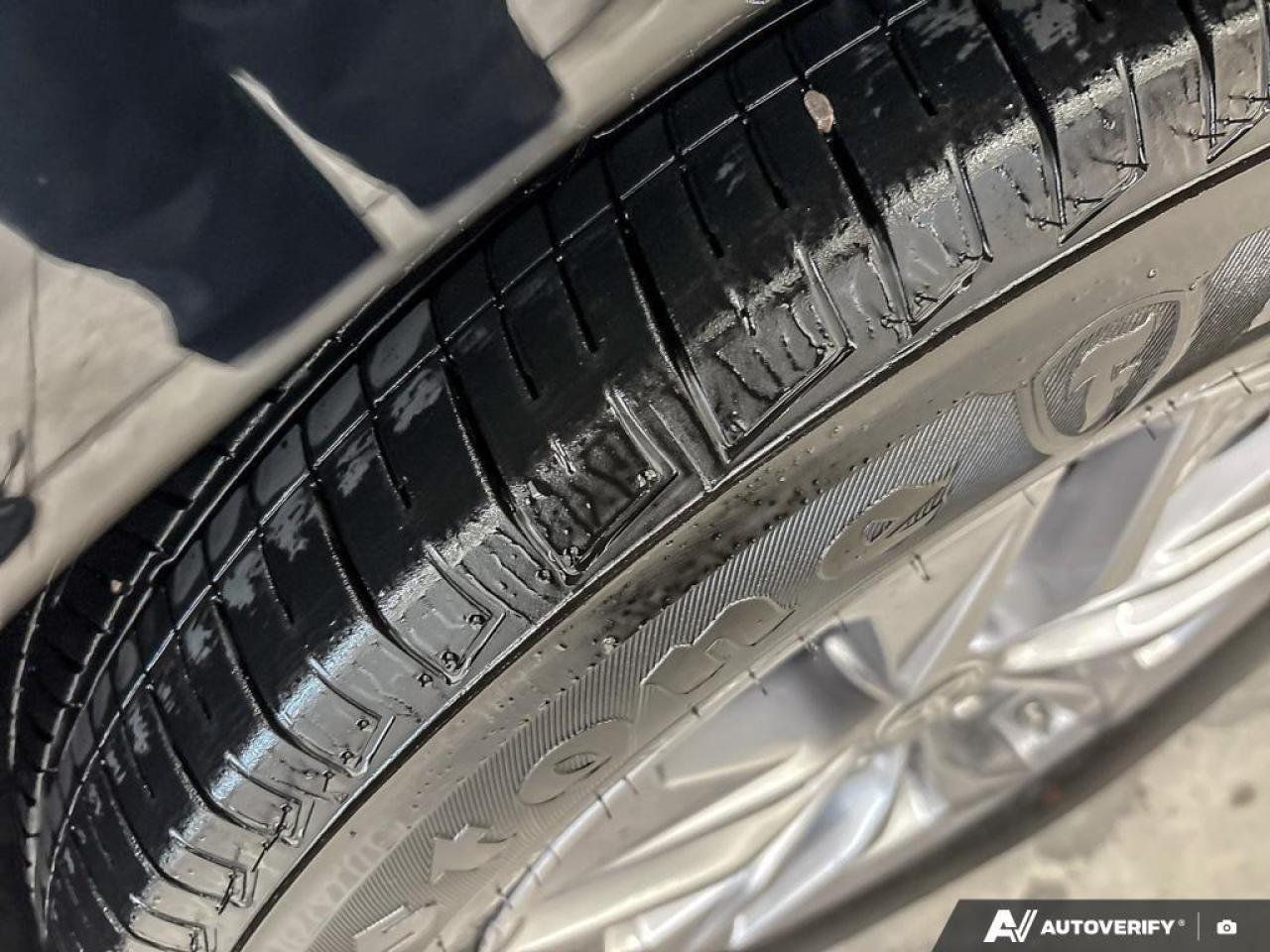 2024 Toyota Sienna  Photo